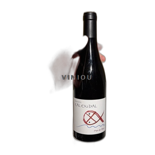 Thung lũng Rhône Côtes-du-rhône-villages Domaine Calendal Plan de Dieu 2023