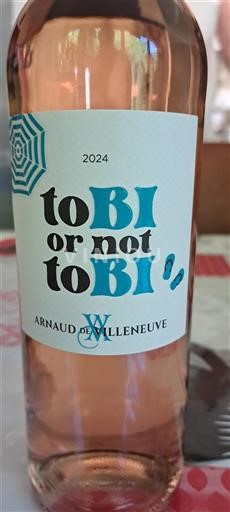 Languedoc No especificado Arnaud de Villeneuve to B1 or not to B1 2024