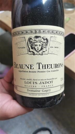 Bourgondië Niet gespecificeerd Premier Cru Domaine Gagey Beaune Theurons 2012
