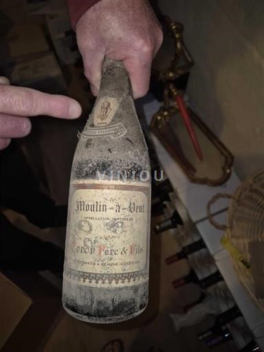 Beaujolais Moulin-à-vent Coron Père & Fils 1959