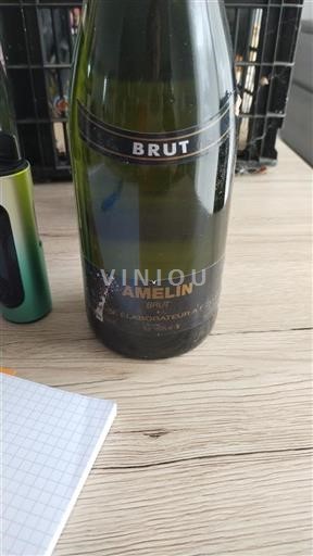 Champagne Amelin Brut Non-Vintage