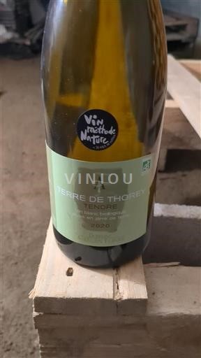 Burgundy Unspecified Domaine Aurélien Febvre Terre de Thorey Tendre 2020