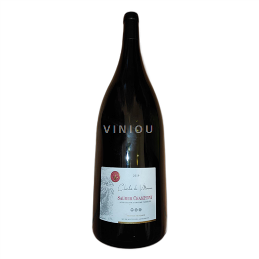 Valle della Loira Saumur-Champigny Charles de Villeneuve 2019