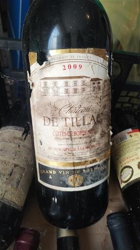 Bordeaux Côtes-de-Bordeaux Château Tillac 2009