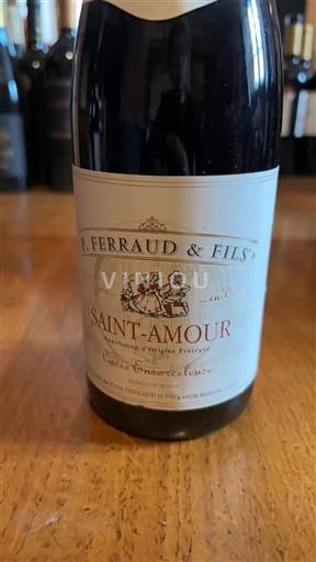 Beaujolais Saint-Amour P. Ferraud & Fils Ensorceleuse Neročník