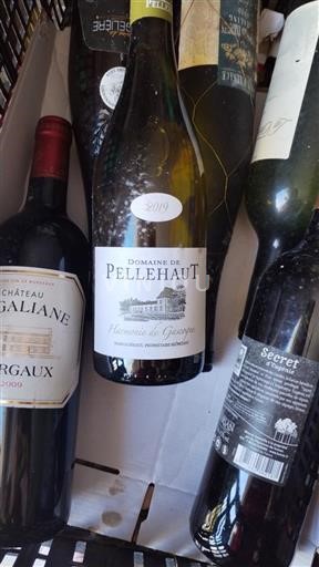 Südwestfrankreich Côtes de Gascogne Domaine Pellehaut Harmonie de Gascogne 2019