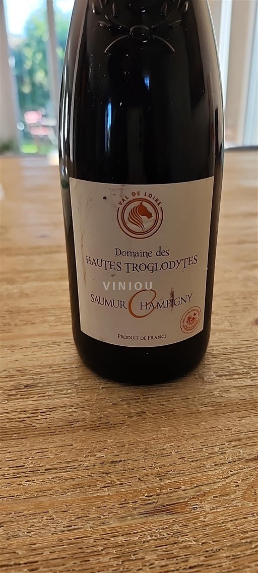 Vale do Loire Saumur-champigny Domaine Des Hautes Troglodytes 2019