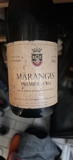 Bourgondië Maranges Premier Cru Les Vins Auriens 2002