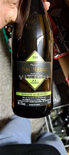 Dolina Loare Domaine Des Blouines JL Cesbron 2023