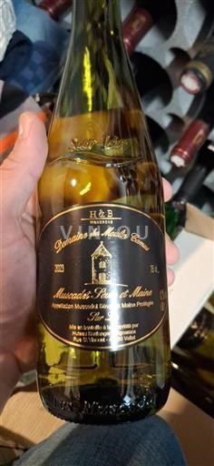 Loire Valley Muscadet Sèvre et Maine Domaine Moulin Camus Sur Lie 2023