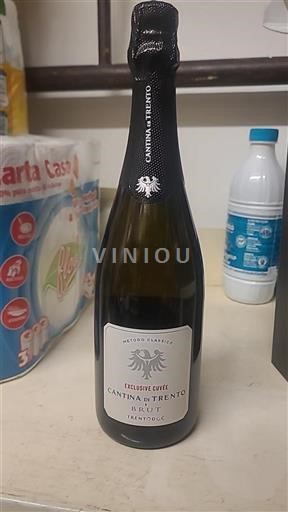 Wines of Trentino-Alto Adige Unspecified Cantina di Trento Exclusive Non-Vintage