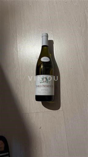 Borgoña Chablis Premier Cru Premier Cru Domaine Gérard Tremblay Montmain 2022
