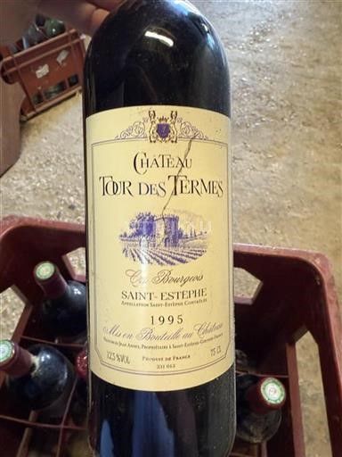 Bordeaux Saint-Estèphe Cru Bourgeois Château Tour des Termes 1995