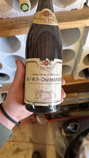Bourgogne Gevrey-chambertin Bouchard Père & Fils 2010
