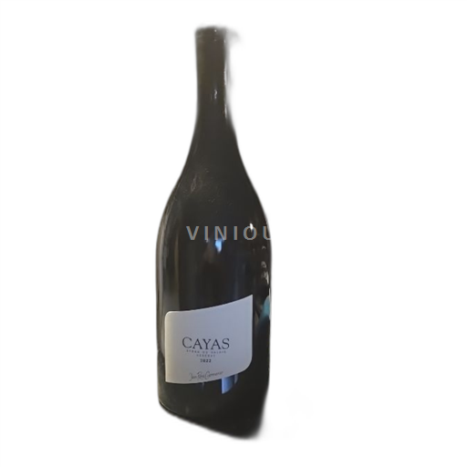 Wallis Syrah van Wallis Jean-René Germanier Cayas 2022