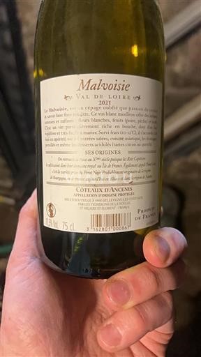 Loire Valley Coteaux d'Ancenis Les Vignerons de la Noëlle Malvoisie 2021
