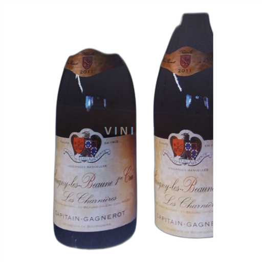 Bourgogne Savigny-lès-Beaune Capitaingagnerot Les charnières 2011