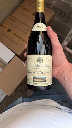 Bourgogne Pommard Premier Cru Domaine Henri Delagrange Poutures 2022