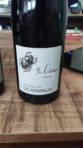 Rhône-dalen Rasteau Domaine Des Escaravailles Les Coteaux 2020