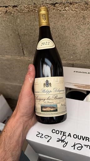 Bourgogne Savigny-lès-Beaune Domaine Philippe Delagrange Les Peuillets 2022