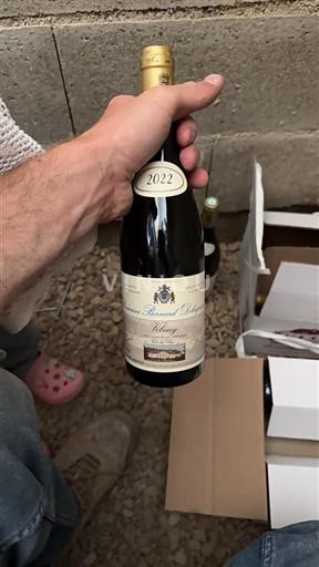 Burgund Volnay Bernard Delagrange 2022