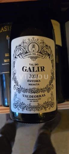 Galicia Valdeorras Virgen del Galir Éntoma 2021