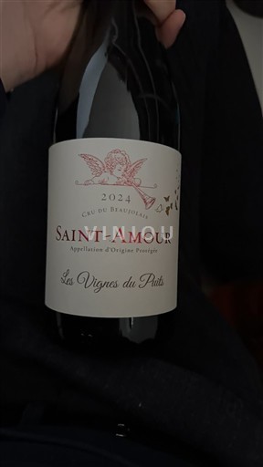 Beaujolais Saint-Amour Les Vignes du Puits 2024