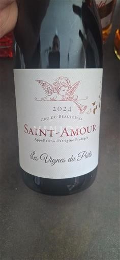 Beaujolais Saint-Amour Les Vignes du Puits 2024
