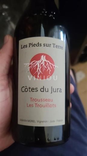 Jura Côtes du Jura Valentin MOREL Les Trouillots 2021
