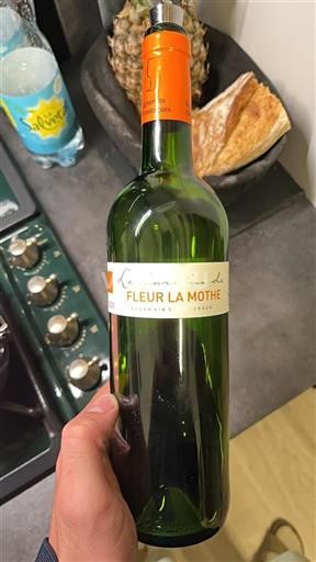 Burdeos No especificado Château Fleur La Mothe Le Jardin de 2020
