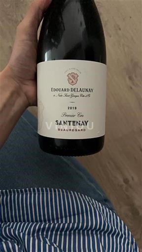 Burgundsko Santenay Premier Cru Edouard Delaunay Beauregard 2019