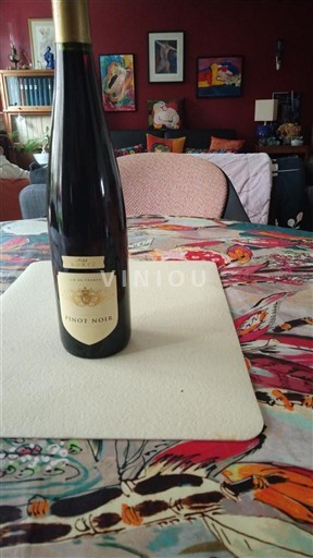 Alsacia Michel Kurtz 2020