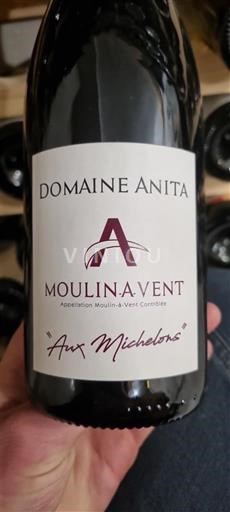 Beaujolais Moulin-à-vent Domaine Anita Aux Michelons 2022