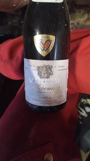 Burgundija Mercurey Louis Dupleix Neleten.