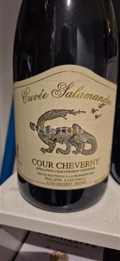 Loiretal Cour-cheverny Philippe Loquineau Salamandre 2014