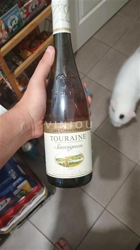 Loiredalen Touraine Pierre Chainier Les Caractères 2009
