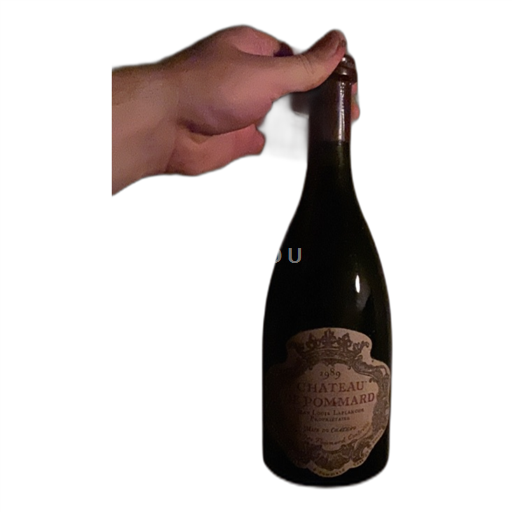Borgoña Pommard Château Pommard 1989