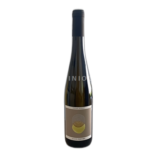 Alsace Pinot xám Sophie Schaal 2023