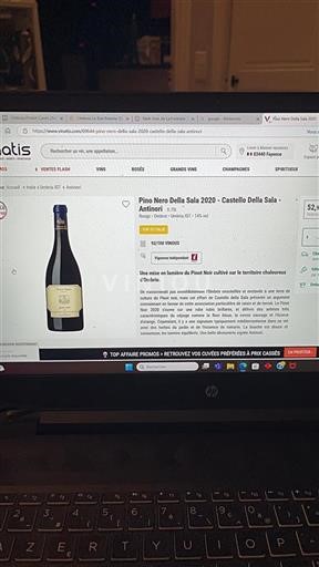 Umbria Castello della Sala Pino Nero Della Sala 2020