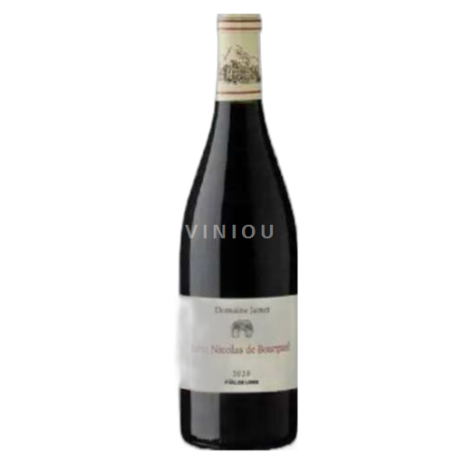 Loiredalen Bourgueil Domaine Jamet 2020