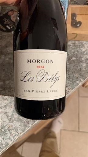 Beaujolais Morgon Jean-Pierre Large Les Délys 2024