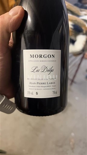 Beaujolais Morgon Jean-Pierre Large Les Délys 2024