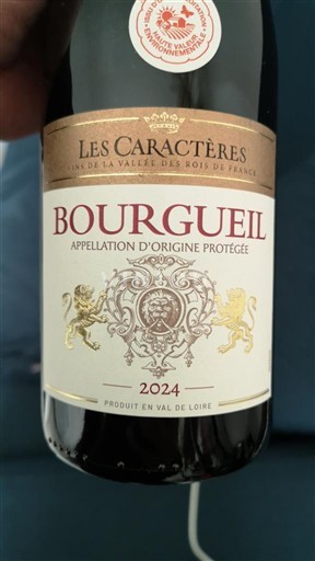 Valle del Loira Bourgueil Les Caractères 2024