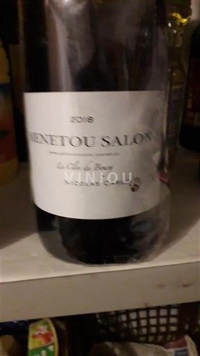 Valle del Loira Menetou-Salon Nicolas Carmarans La Côte de Brouy 2018