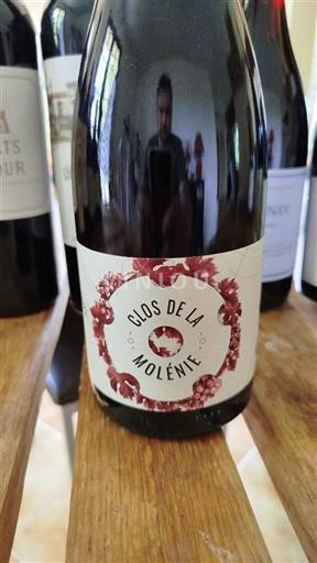 Vin Rouge sec Clos de la Molénie 2021 France Sud-Ouest IGP bio
