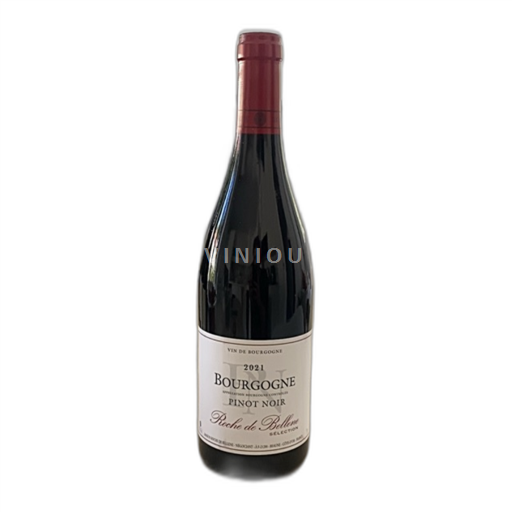 Vin Rouge sec Maison Roche de Bellene 2021 France Bourgogne AOC