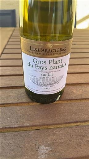 Loire Valley Gros Plant from the Nantes region Les Caractères 2023