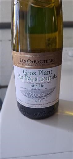 Loire Valley Gros Plant from the Nantes region Les Caractères 2023