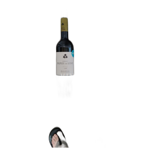 Provenza Bandol Domaine Dupuy de Lôme 2018