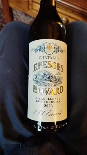 Vaud Non specificato Bovard Chatally 2023